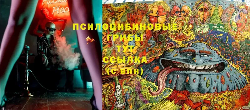 сайты даркнета формула  Дагестанские Огни  Галлюциногенные грибы Psilocybine cubensis  хочу наркоту 